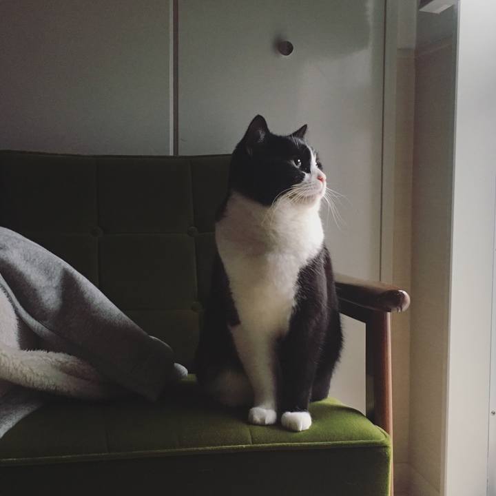 8e6d1d1b 1df6 4f34 afe2 9c25169f7f3c 1553125087191