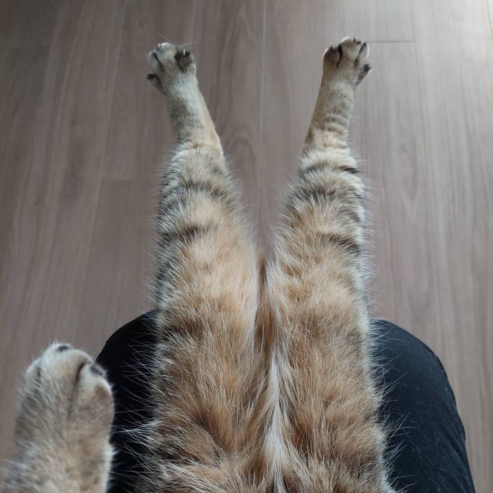 8e6d25de 6a82 4eef be3f 0be36345830e 1744601885691