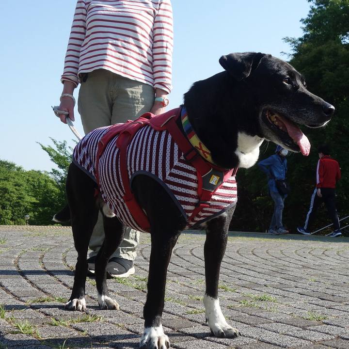 8e6d32d5 4a4d 4083 ac5c 19d760c5dc5b 1683160690584