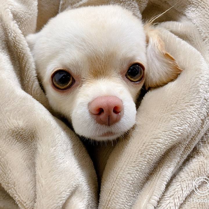 8e6d36d8 f077 46bd a244 9a1ad09747bb 1616322944115