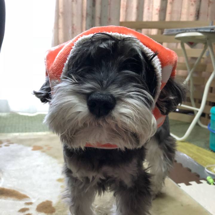 8e6d448c 102c 4374 be77 89b8930ba9e0 1514905960275