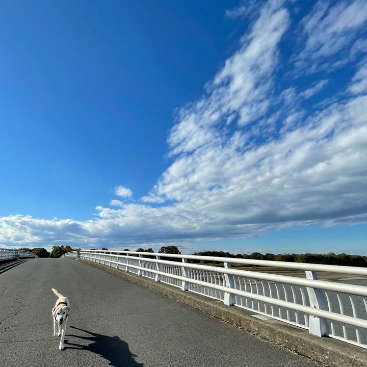 8e6d45cb df9c 4229 95c8 231ad70afb00 1605006961166