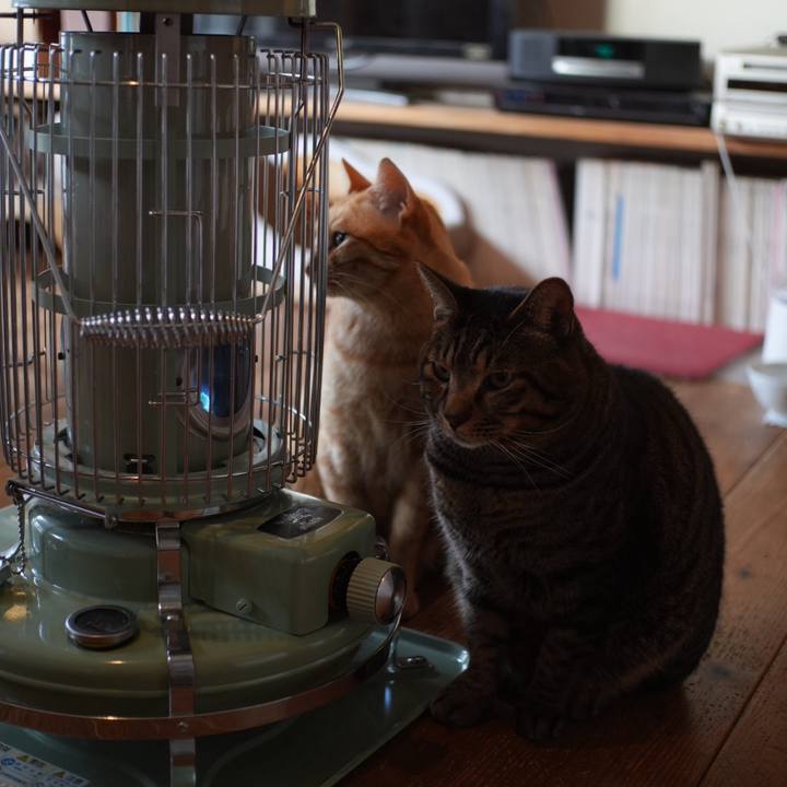 8e6d6b06 aa95 499d 9d4f a0db2a21f872 1734134616635