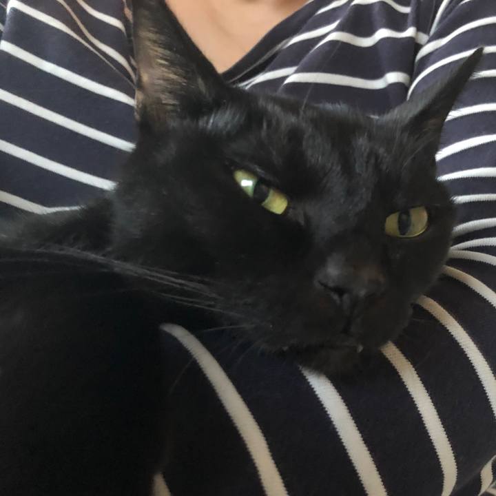 8e6dc1b4 0069 4443 baba f04ac36c299f 1665216094744