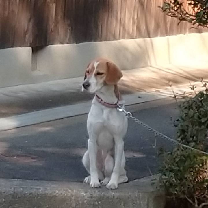 8e6dc92f 2c0f 4e29 8f70 2c89553bcc97 1580889287052