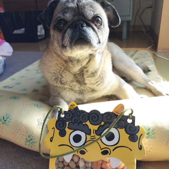 8e6dcbc7 16c1 496f 9893 8556064cb5b4 1770120097466