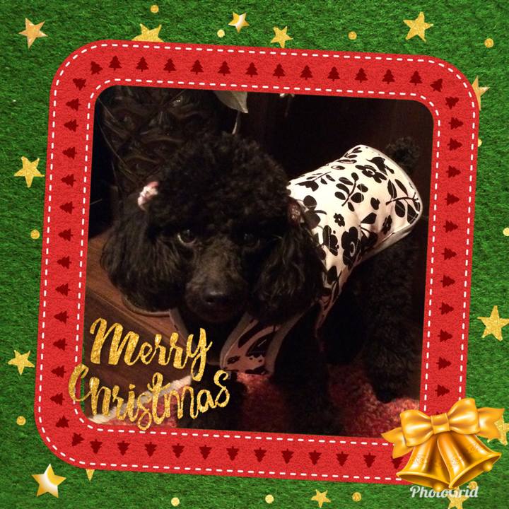 8e6dd1da 1ec6 43b5 975f cf4f3d4b0127 1544931337650