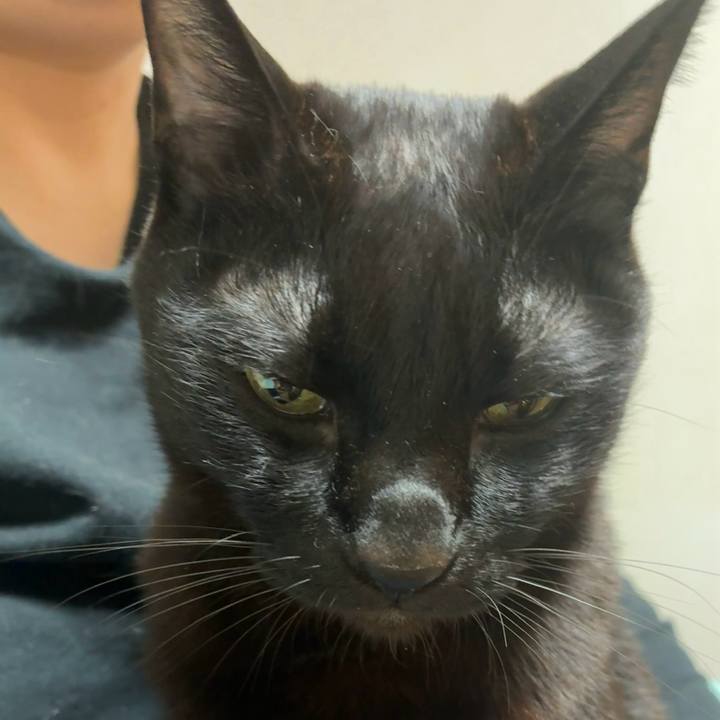 8e6dd482 306a 475d a452 a8dd133ddfd4 1746281739629