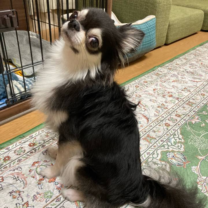 8e6dffb3 1947 496b 844a b55e2e53542e 1662901895953