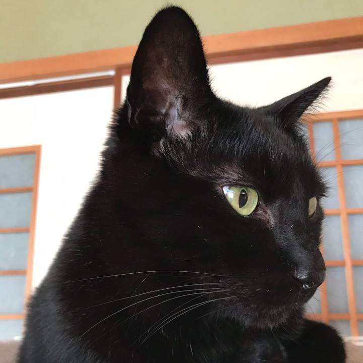 8e6e0838 c94f 42cf bb1a 9c555a2bad7c 1521335850054