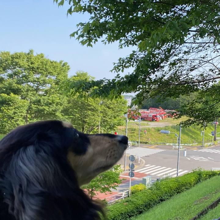 8e6e5587 a193 44db 80da 68634b5554ac 1684285809124