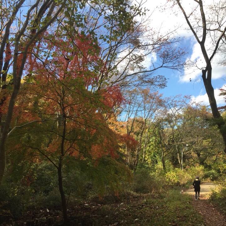 8e6e7083 5826 49f6 b756 db529d3ca021 1511262935678