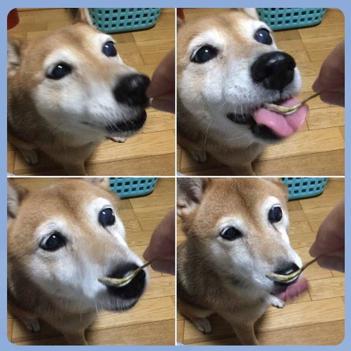 8e6e77e2 7ae5 4533 9986 853b1561f7a5 1630491702521