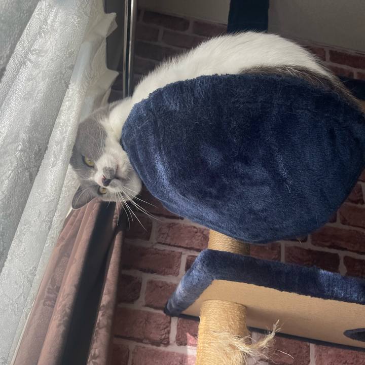 8e6e991d 4470 47a1 a8c4 8887853bb651 1666738731116