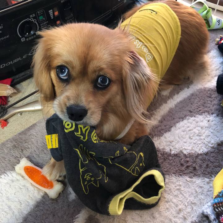 8e6eae8a cca0 4430 ba06 0d7dfb437672 1520635156064