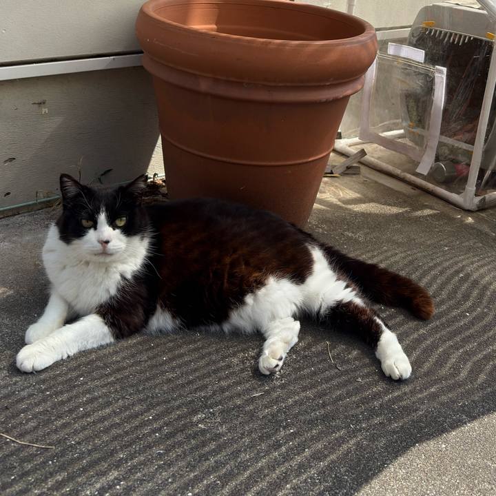 8e6ebc41 b8d3 46d2 814b a630f0ea5a35 1774708389274