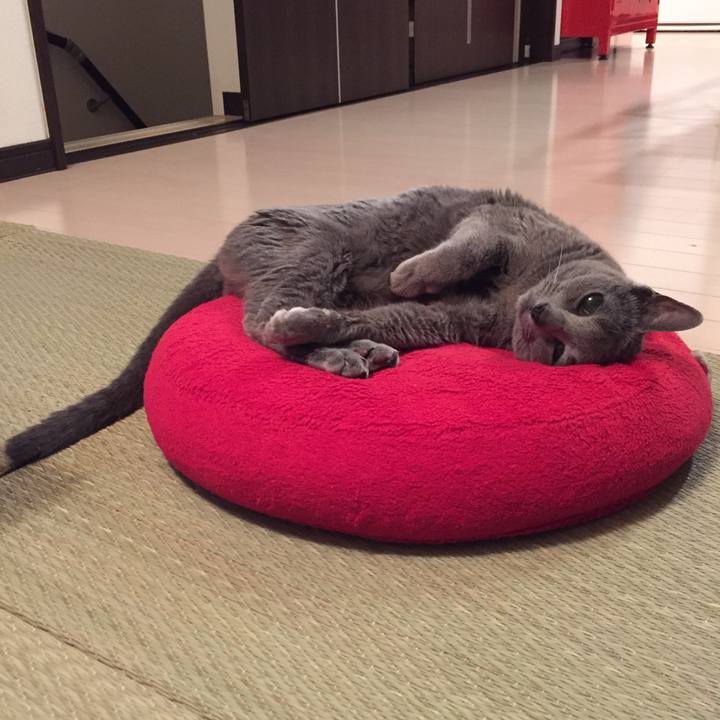 8e6ed071 5478 4528 88bb 9cf94d1ab44c 1561676891616