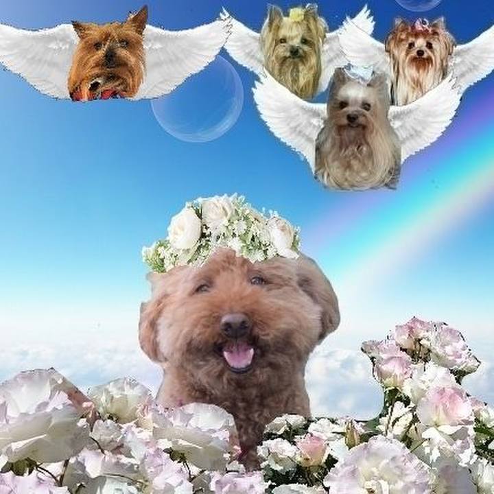 8e6ef497 78f4 4888 86c2 49628c622942 1739100249831