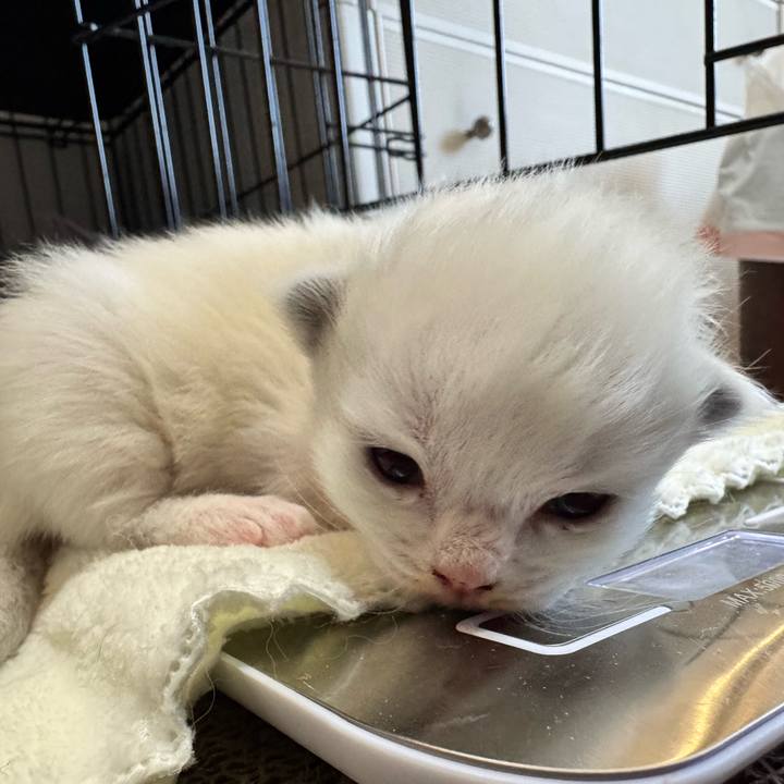 8e6efcdb 1422 4b20 b8ae 62d08d451e0a 1763087623612