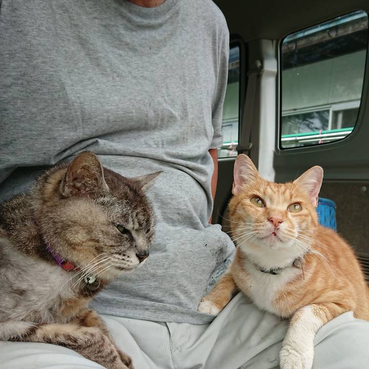 8e6efcef ff1c 4be1 b639 91e5f1019df3 1596319247897