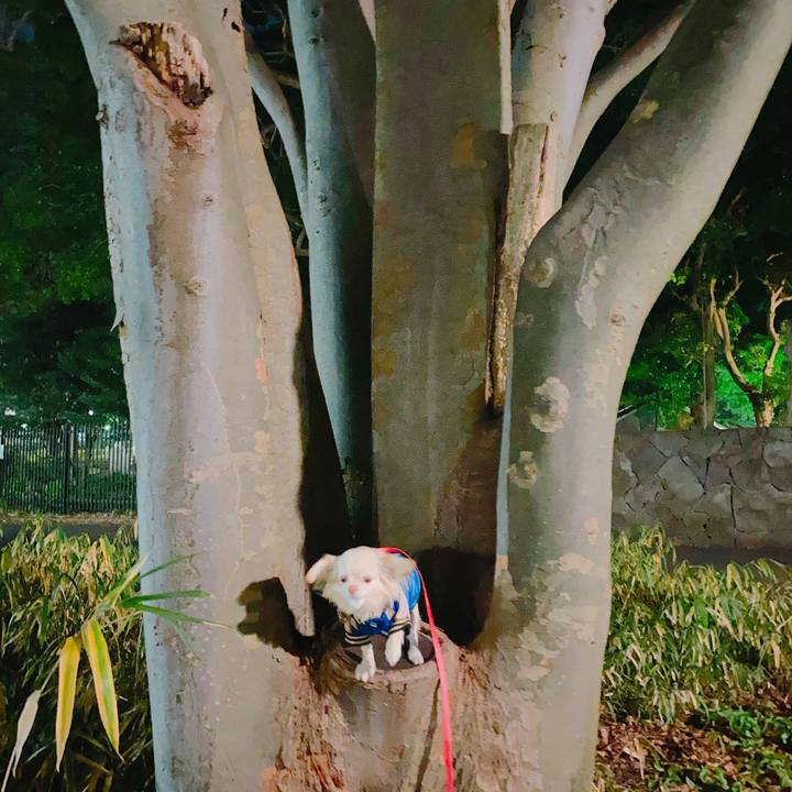 8e6f37a9 6bab 436d 9d32 59eaf011fc37 1641699493243