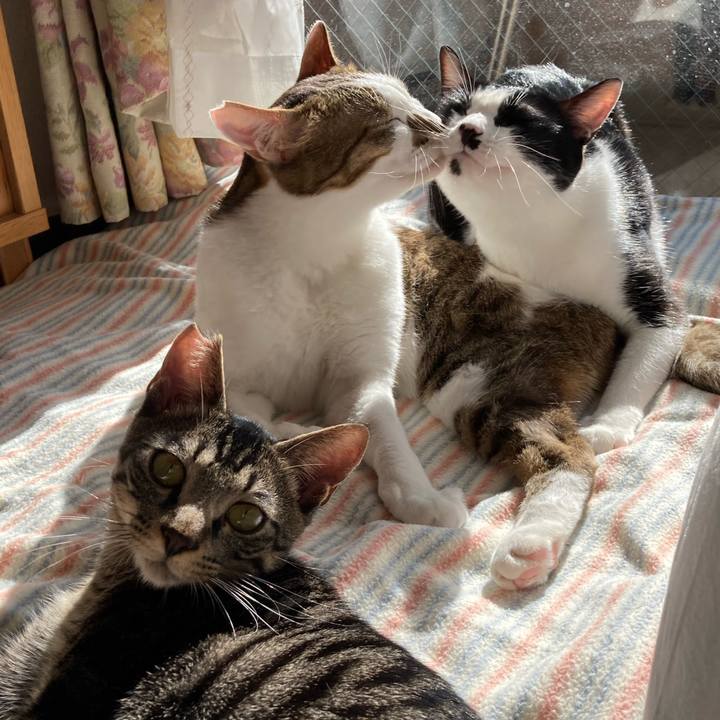 8e6fbff8 6e6b 4536 a5ec d76912d0f028 1607071944766