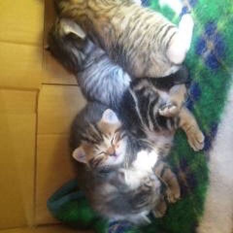 8e6fe02c 5f61 4ab3 8fdd 9b7d6202c1ef 1547123838759