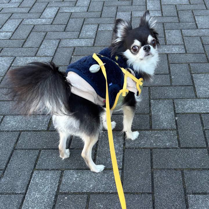 8e704b39 b5d1 4510 9631 be7389cf8a76 1734278312599