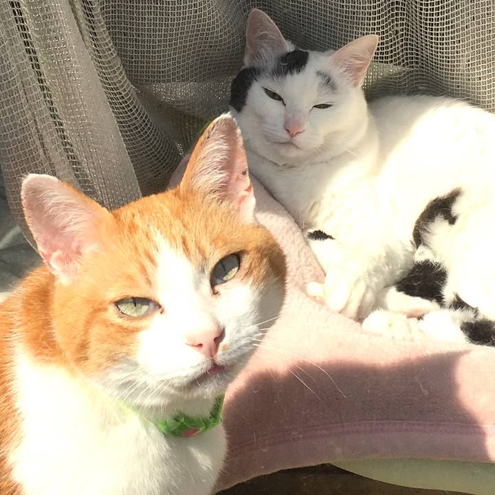 8e704c75 f32c 44d6 8c67 94d1f3b47236 1557351564298