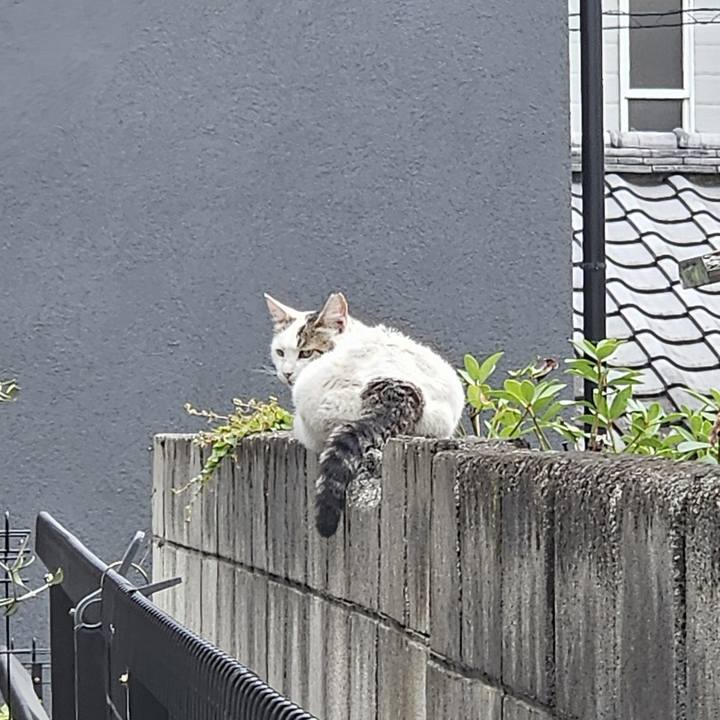 8e7051d1 506a 41a3 87c8 7825adb28458 1718441493376