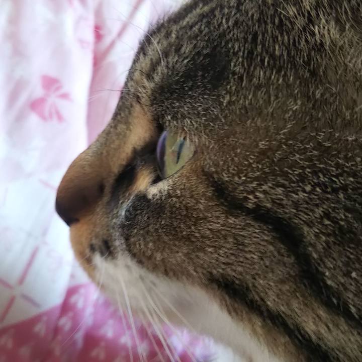 8e70863a e56d 43ea 8374 d7a24ce3537f 1615427369916