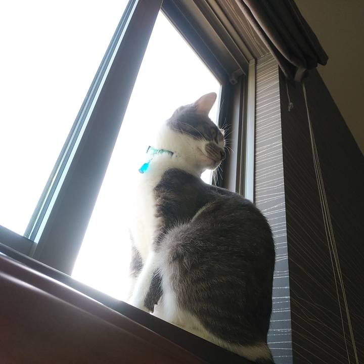 8e708a5e 40df 470c b7ac 8c8ec0f6e2ea 1590271948193