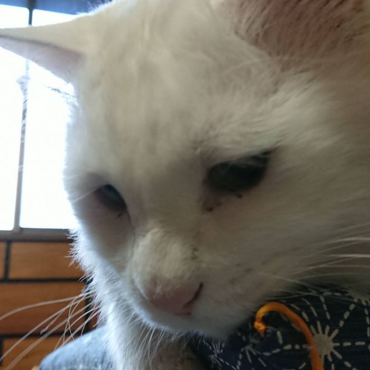 8e709da0 1b2a 48f9 a486 fceae34bbbd4 1544999191155