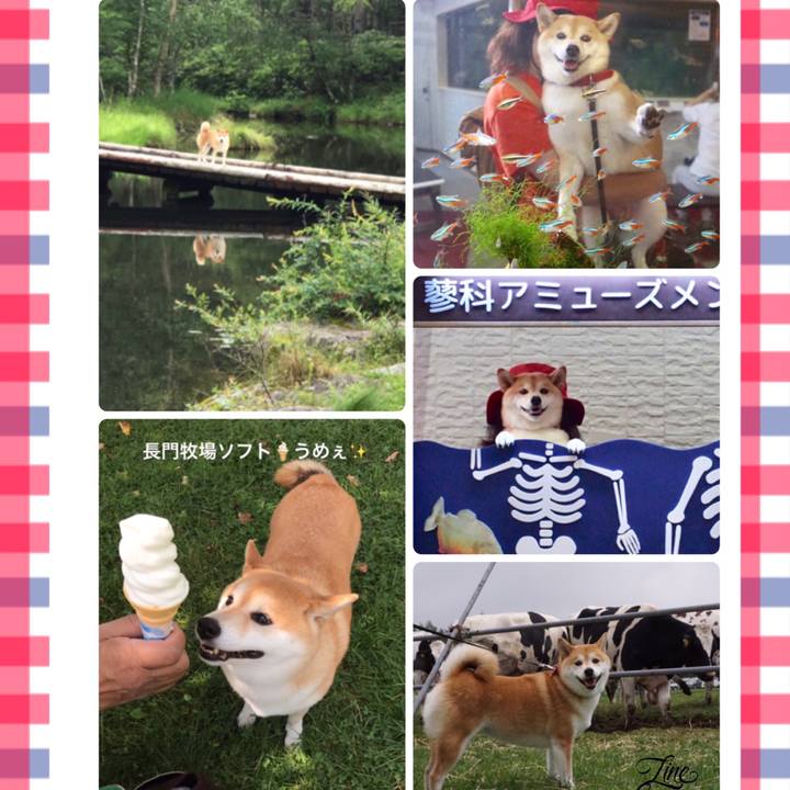 8e70a2d7 e9a3 498a b0d2 ba11d05af8d3 1565578084052