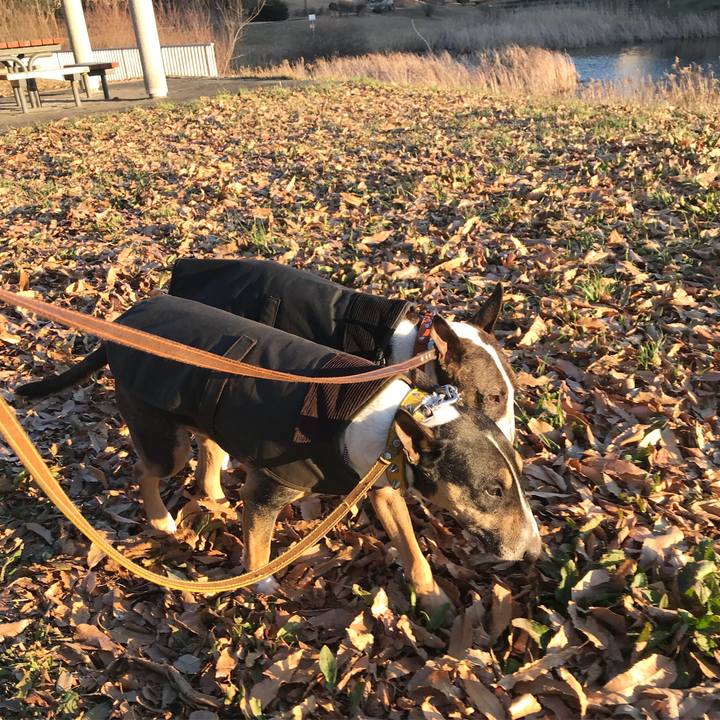 8e70bdf6 3d56 41a4 9e5b 8b16bd016b3e 1515571636257