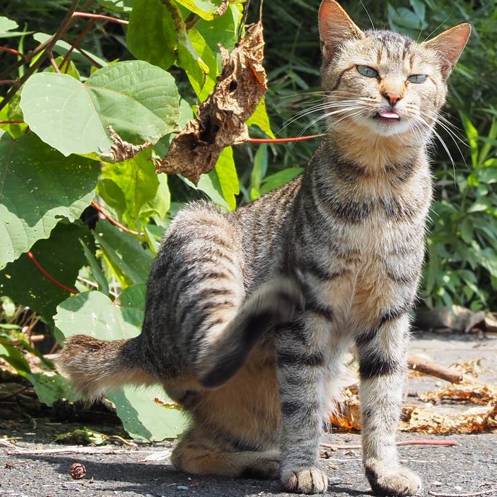 8e712887 bd9e 43cd 9145 c7a97a086505 1597065040952