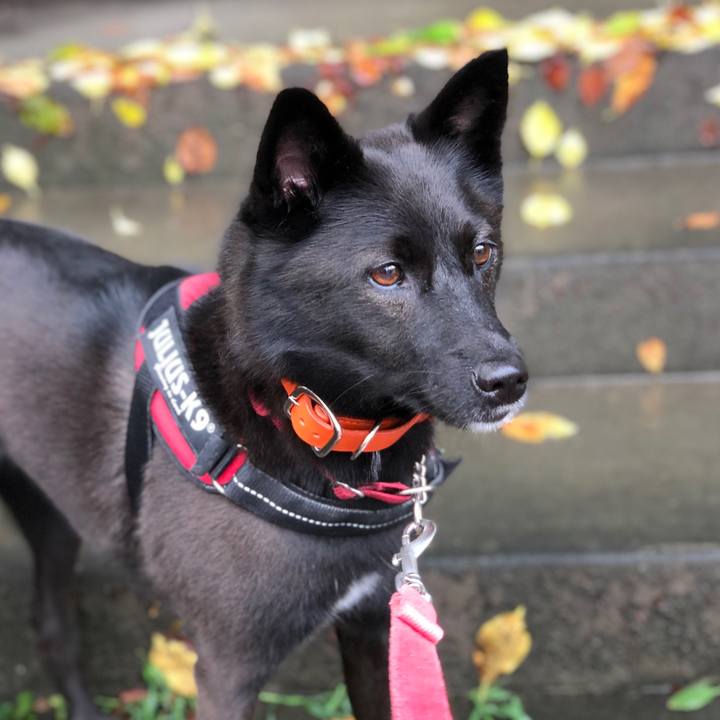 8e716ff4 c833 4ee7 a43a 377881e3e9b3 1599776900871