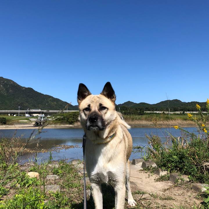 8e71828c 19dc 4a5e b12a 38f1041d566f 1540112383390