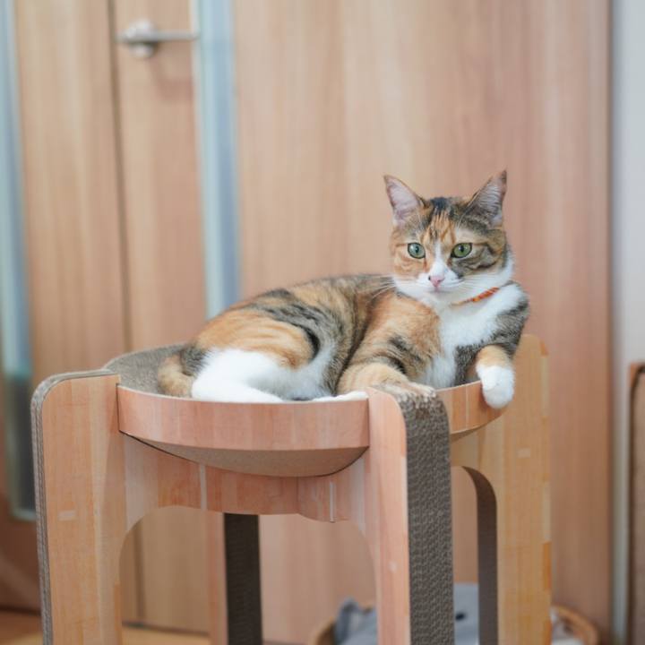 8e718a40 edc7 43c9 b710 57b6edbff3f0 1632179548609