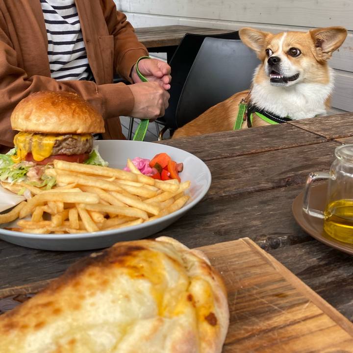 8e71984e 0a68 4a02 a31d 24a89285d753 1654759438848