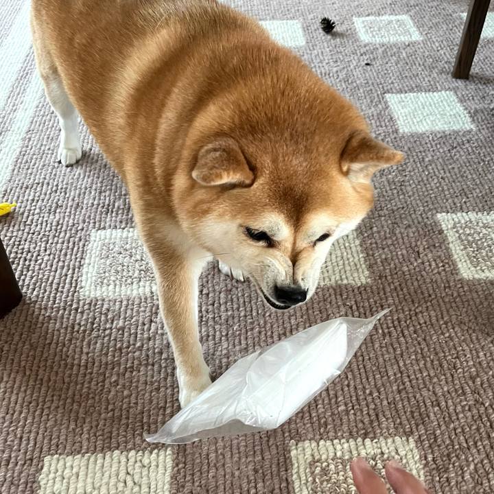 8e71d142 f7b9 4d76 9060 31345a45af81 1658408442912