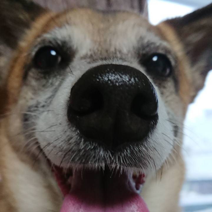 8e71dc7e c653 4e4a 9120 7ce0cb5fd233 1523780363200