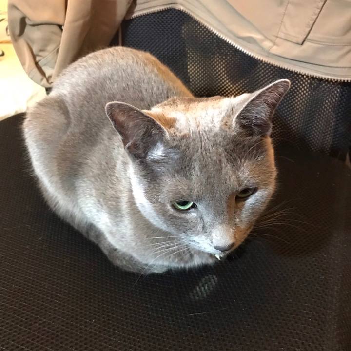 8e71e6ae 8769 4408 8aed 008128f7be59 1643773350460