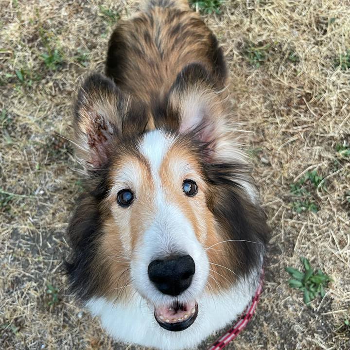 8e71efe9 1ea7 4739 9864 85a9f9e5cf07 1627384286219