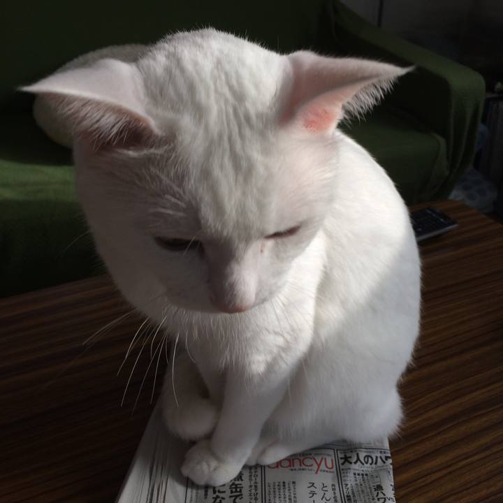 8e71fb0b 8391 492d a284 2999f3b9a626 1536358781584