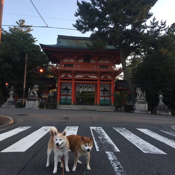 8e72242a 95a6 4d6f 8dc4 9400d0f63937 1533251675237