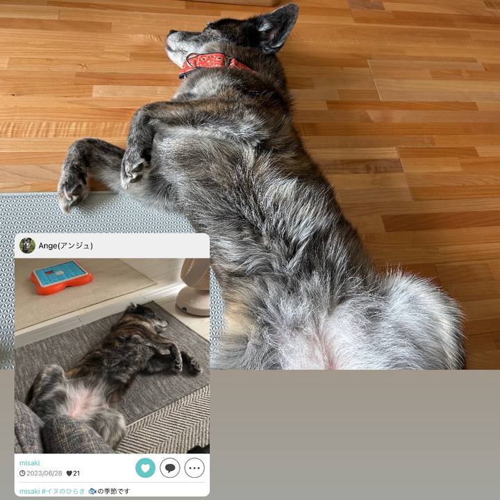 8e7230b6 4343 4a5a 90a1 5edd476ed311 1719892853001