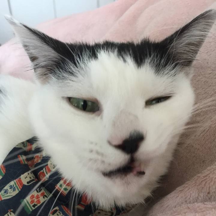 8e724793 6550 4c6b 8fff cbeaa77d1cb9 1509771936675