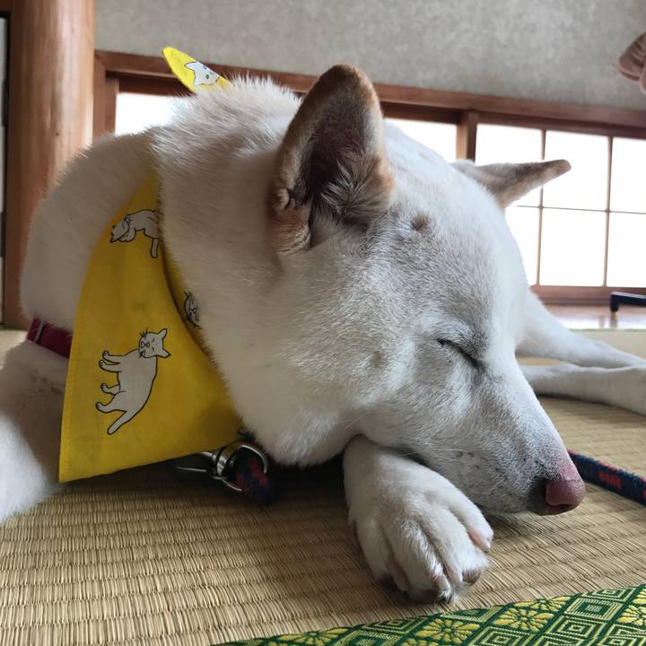 8e7273eb be1b 4ca1 a7ca 5704bb051fa5 1521764518987