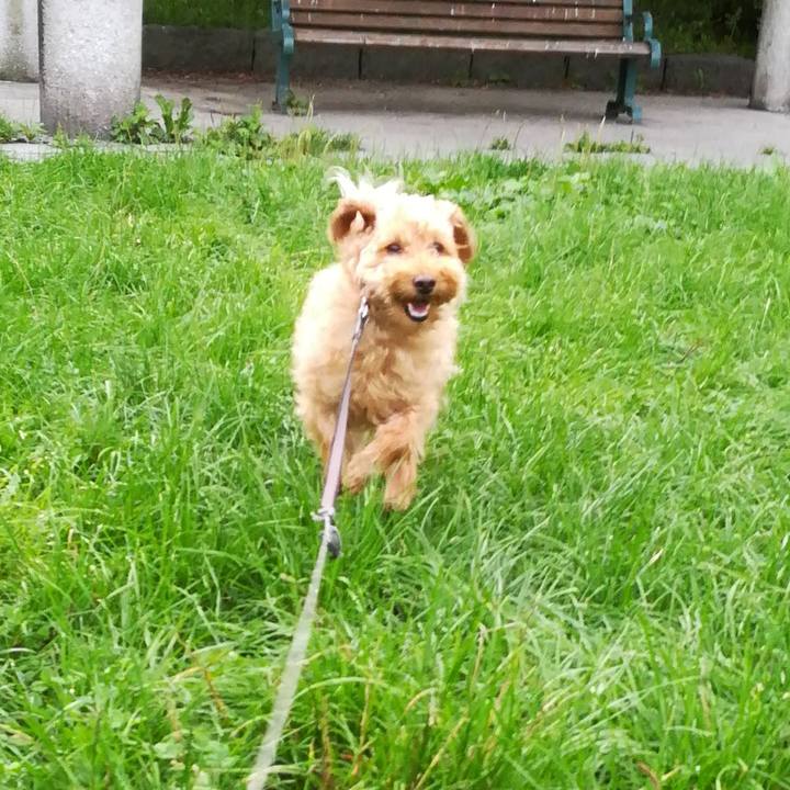 8e7275e9 47f5 477e 9888 c6594dd5de8e 1535061290480